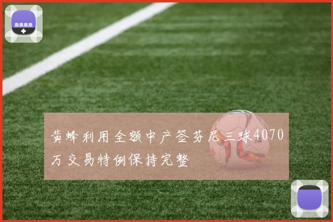 黄蜂利用全额中产签芬尼三球4070万交易特例保持完整