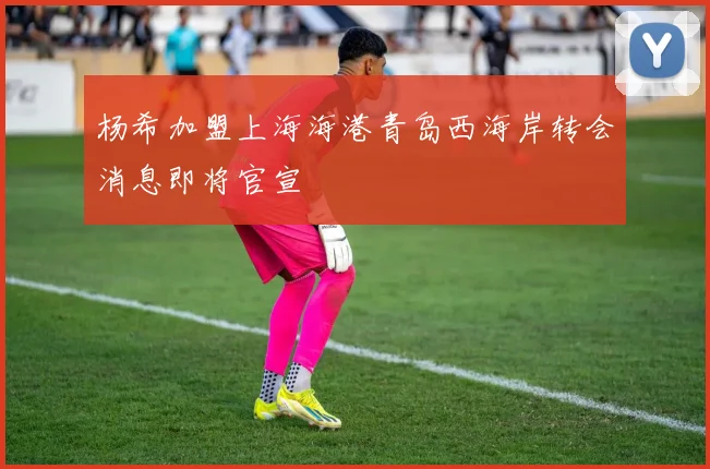杨希加盟上海海港青岛西海岸转会消息即将官宣