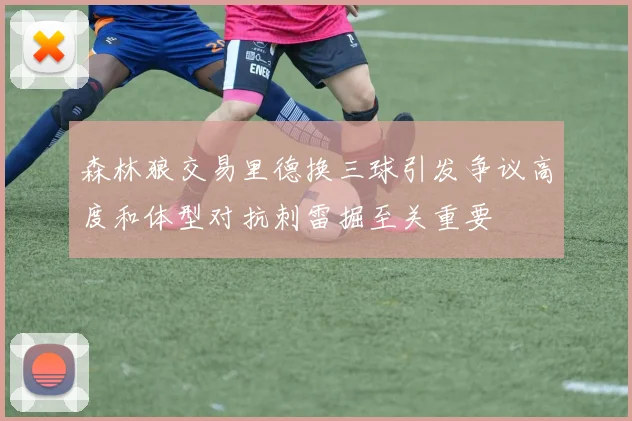 森林狼交易里德换三球引发争议高度和体型对抗刺雷掘至关重要